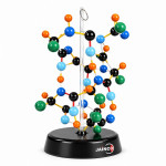 Protein Model